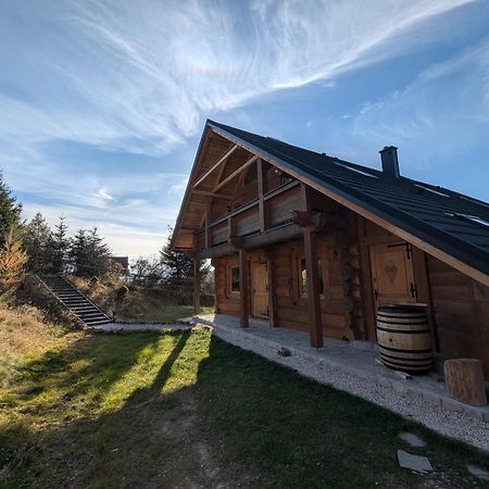Villa Beskid Миловка Екстериор снимка