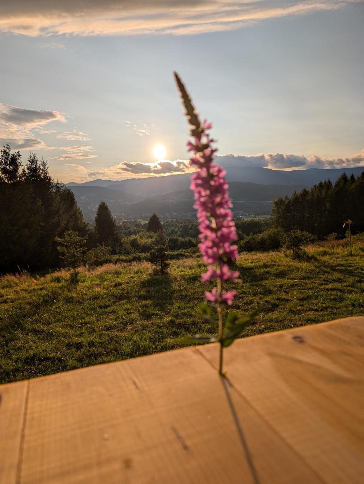 Villa Beskid Миловка Екстериор снимка